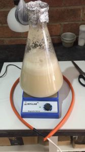 lallemand yeast starter