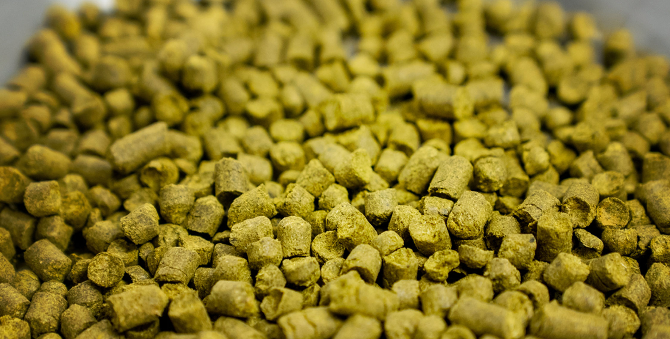 5 hops you must try