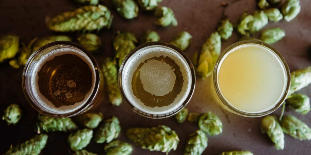 Choosing hops for your beer 