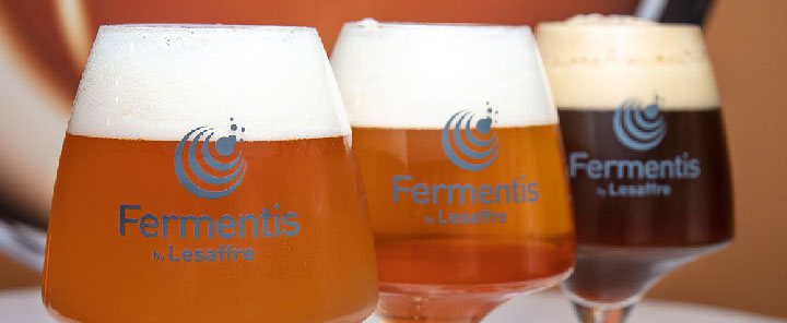 Best Fermentis Homebrew Yeasts for UK & Irish Brewers
