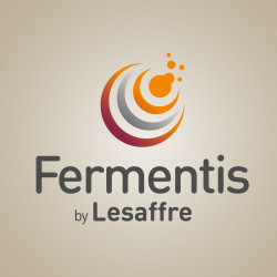 Microbrewery Fermentis 500g