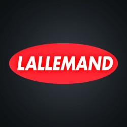 Microbrewery Lallemand 500g