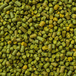 Microbrewery Hops