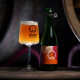 Our Brewery - In Tension - Barrel Aged Rhubarb Saison - 375ml