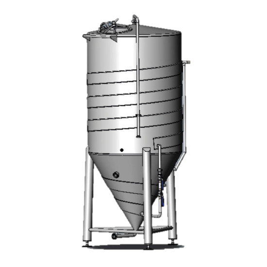 Brewiks Uninsulated Pressurized Cylindroconical Tanks