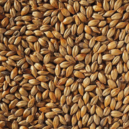 Crisp Amber Malt  (EBC 55-75)