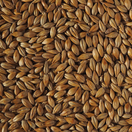 Crisp Cara Gold Malt (EBC 12-16) Crisp Cara Gold Malt (EBC 12-16)