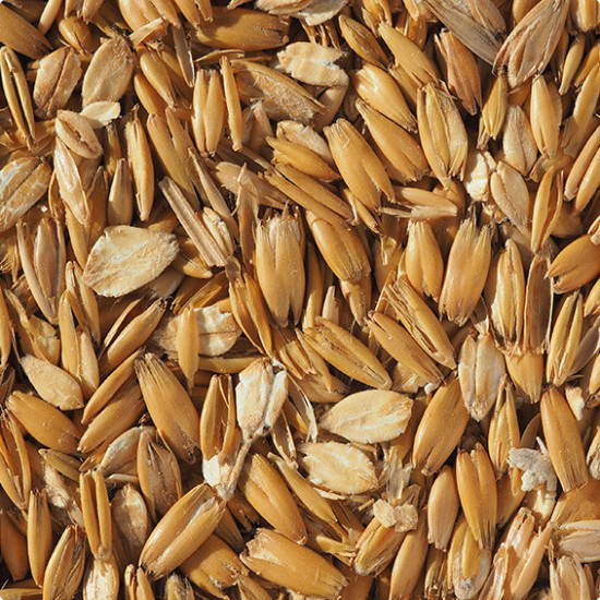 Crisp® Flaked Torrefied Oats (EBC None)