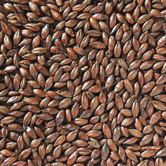 Crisp Roasted Barley  (EBC 1100-1300)