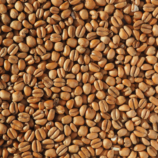 Crisp® Torrefied Wheat  (EBC 2.5-4.5)