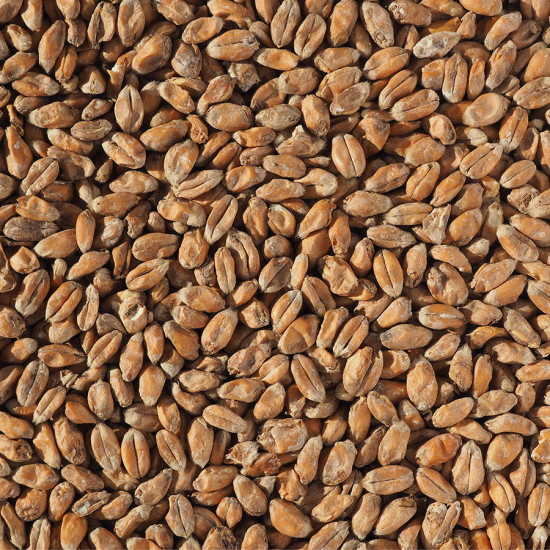 Crisp Wheat Malt  (EBC 2.5-4.5)