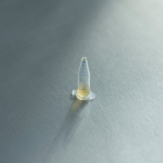 DeHaze 0.5g DeHaze 0.5g