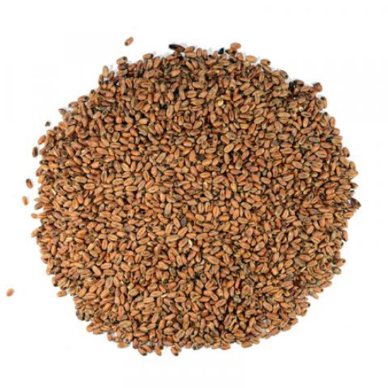 Dingemans Mroost Wheat Malt 30 MD  (EBC 23-35)