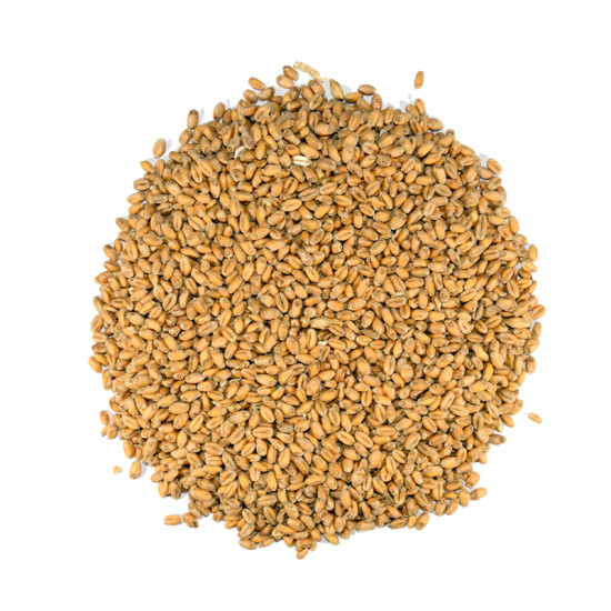 Dingemans Wheat Malt MD  (EBC 0.0-3.5)