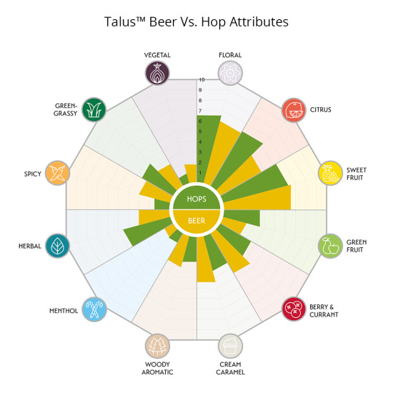 Hop Tea Bag – Talus T90 Hop Pellets – 20g