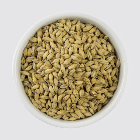 Muntons Munich Malt (EBC 12-20)