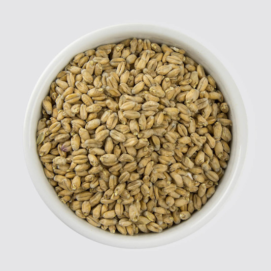 Muntons Wheat Malt (EBC 0-5)