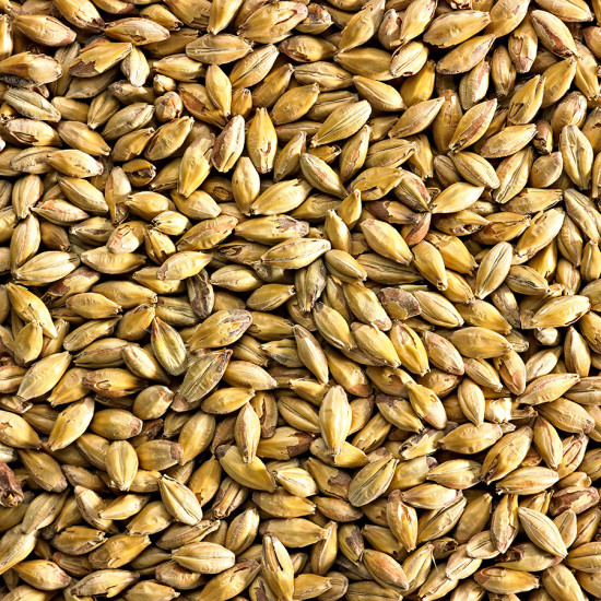 Simpsons Amber Malt (EBC 54-71)