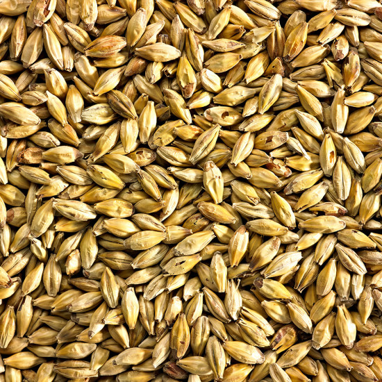 Simpsons Aromatic Malt (EBC 50-70)