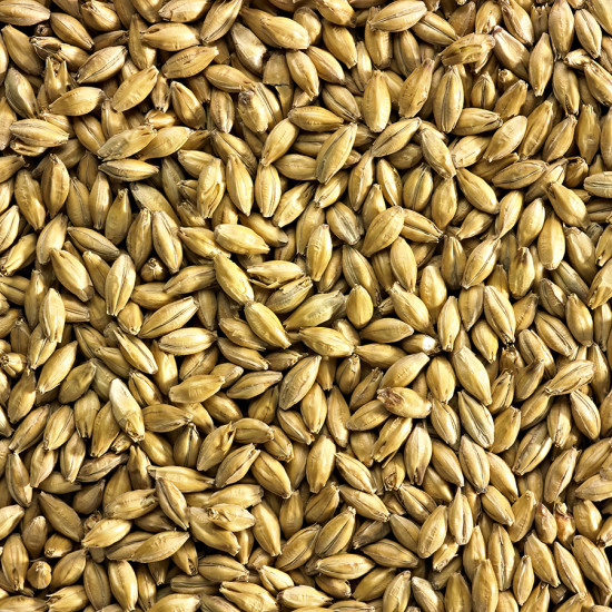 Simpsons Low Colour Maris Otter Malt (EBC 2-4 )