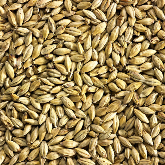 Simpsons Munich Malt (EBC 18-22)