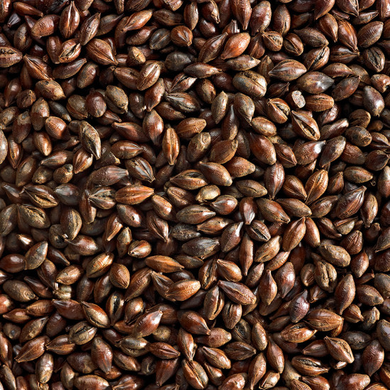 Simpsons Roasted Barley Malt (EBC 1300-1900)