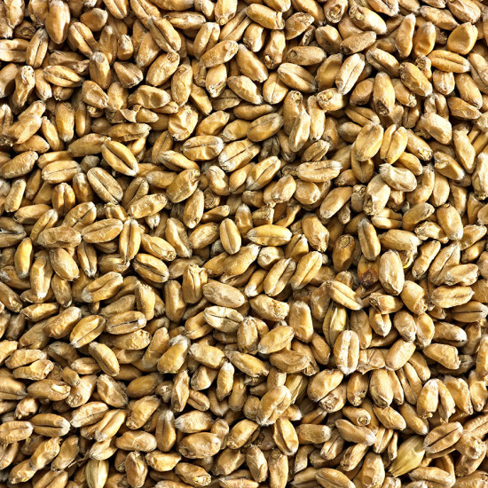 Simpsons Wheat Malt (EBC 2-6)